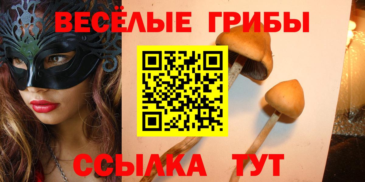 Галлюциногенные грибы Magic Shrooms  Вход с VPN  Псилоцибиновые грибы Psilocybe  Городец 